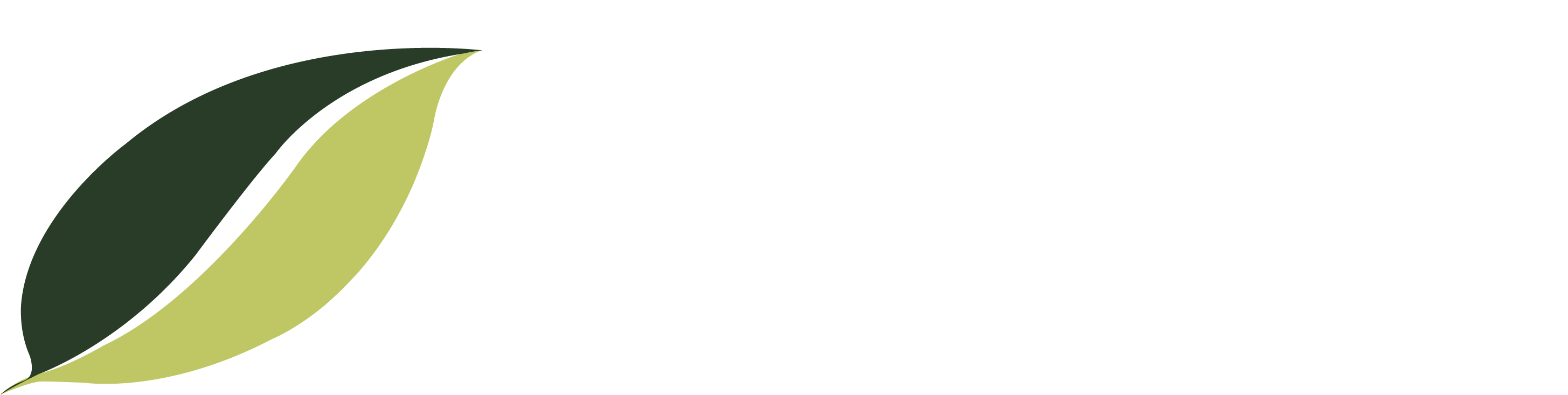 Phyts Production